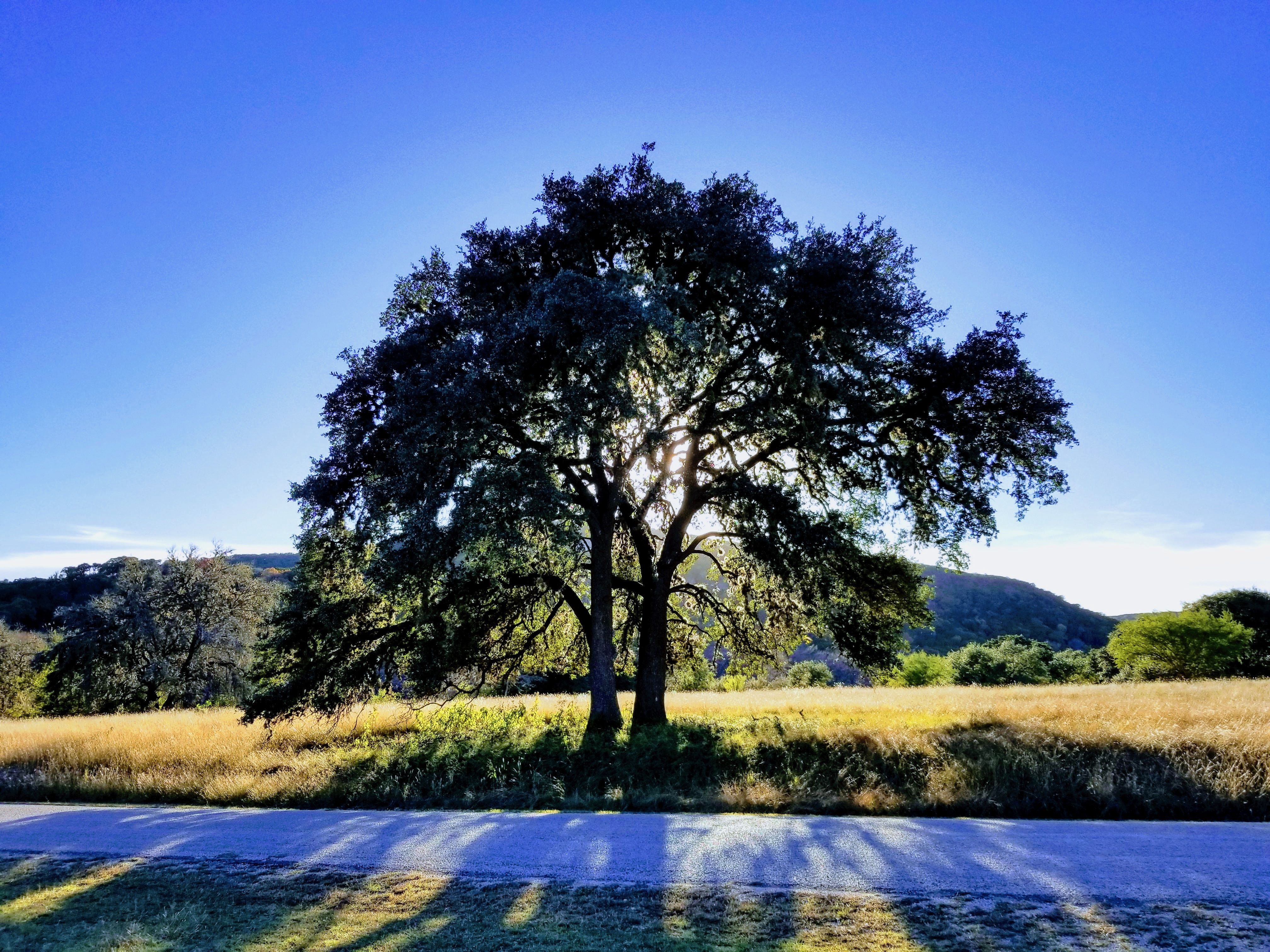 Deer Valley Ranch scenic view 2